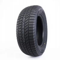 205/55R17 opona GOODRIDE SW628 XL 95H